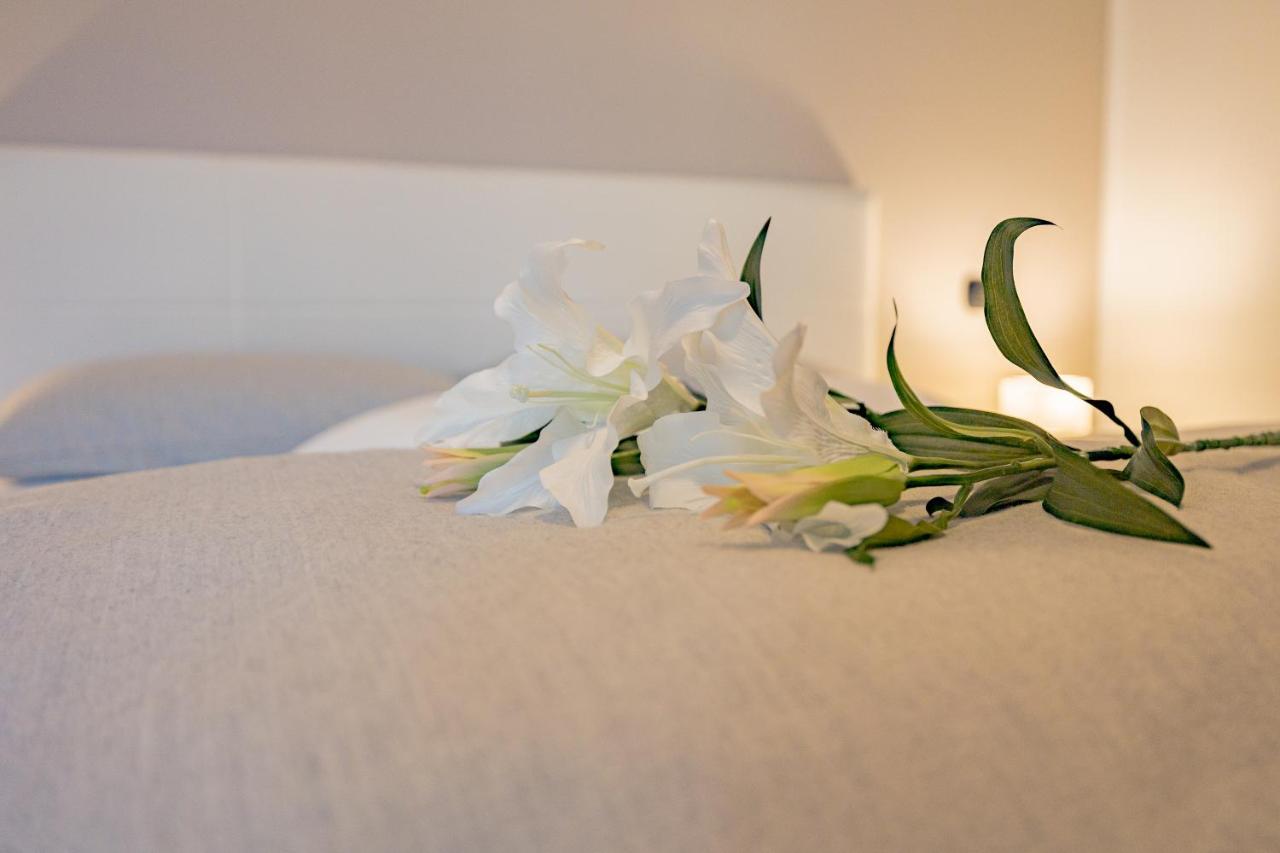 Milan Forum Camelia Guesthouse Assago Eksteriør bilde